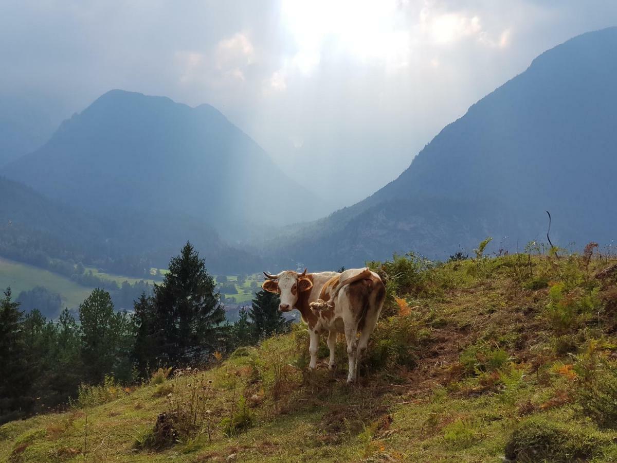 The Oldmillhouse Villa Mojstrana Esterno foto