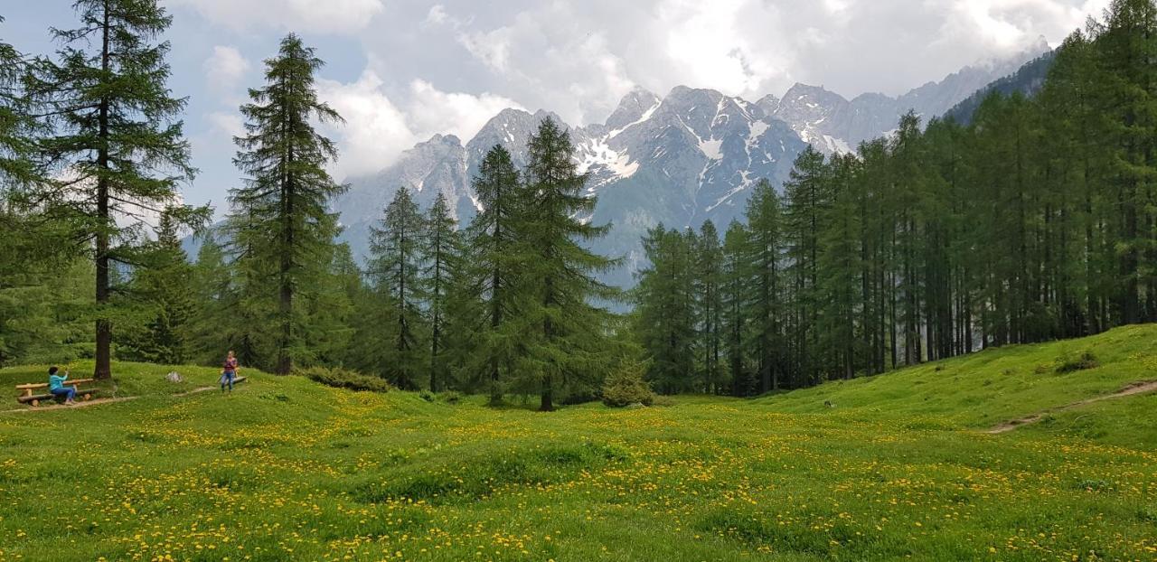 The Oldmillhouse Villa Mojstrana Esterno foto