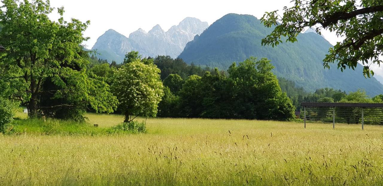 The Oldmillhouse Villa Mojstrana Esterno foto