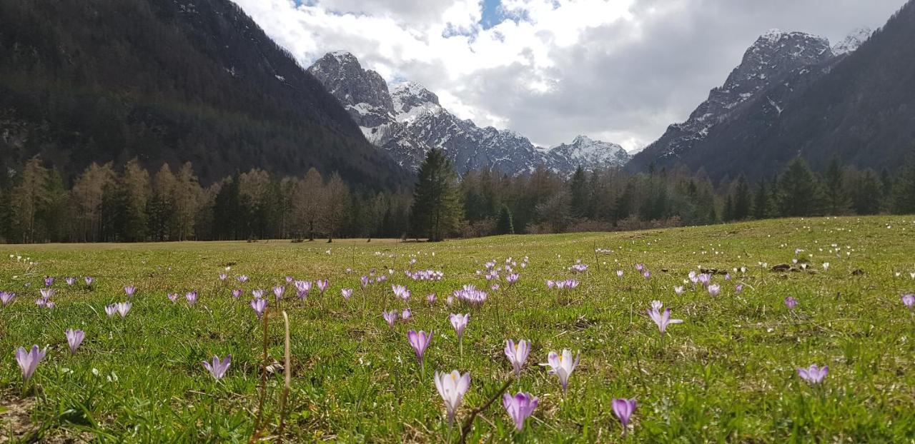 The Oldmillhouse Villa Mojstrana Esterno foto