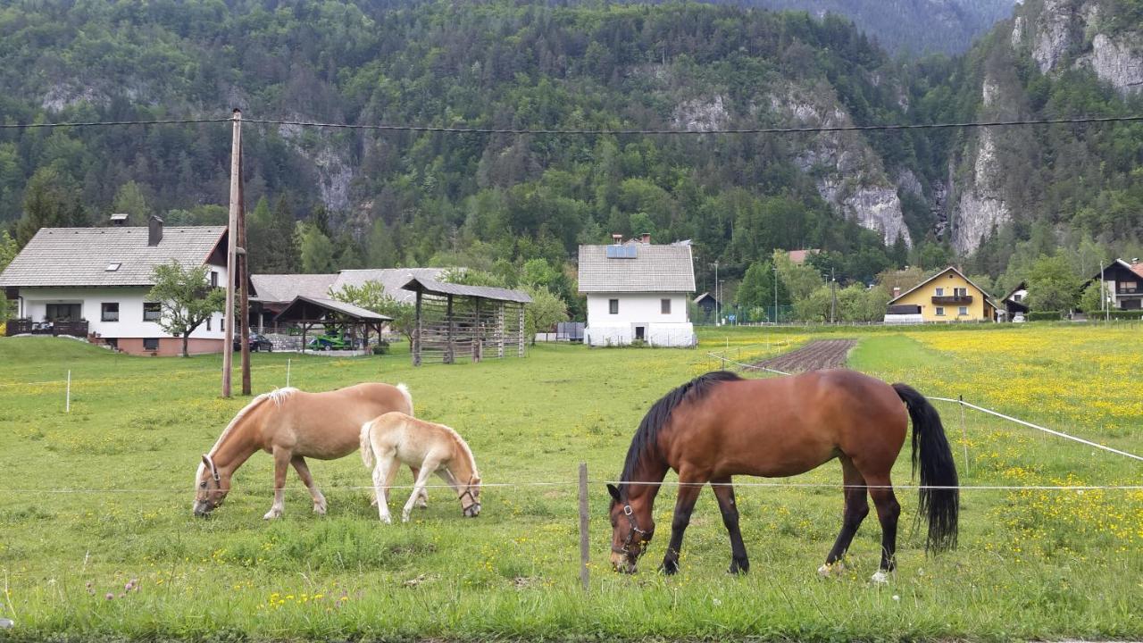 The Oldmillhouse Villa Mojstrana Esterno foto